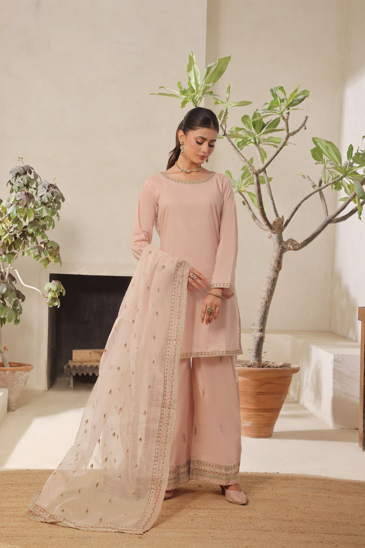 Pink Majesty | 3-Piece Stitched Outfit Full Sleeves