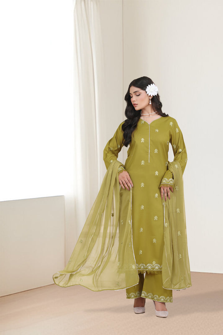 Olive Musk 3 Piece Stitched